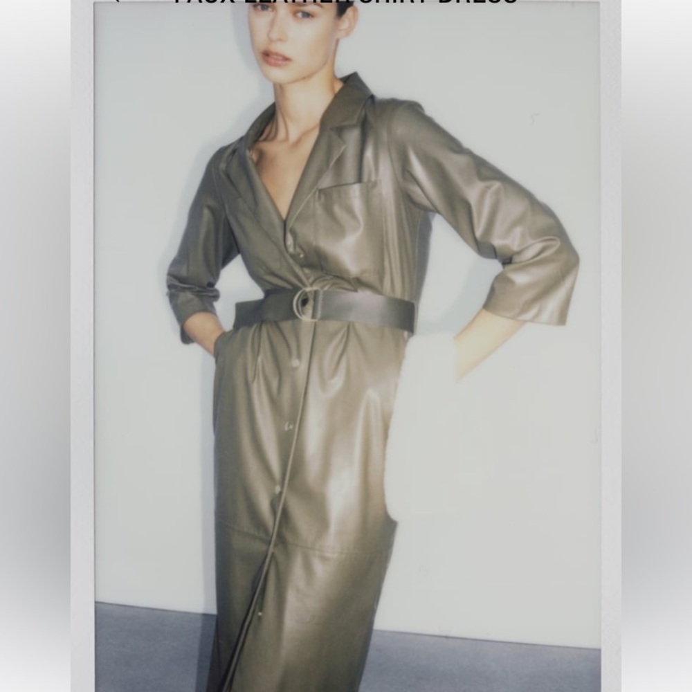 Faux leather Zara dress